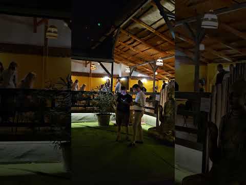 Eredeti vágatatlan hangulat videó: Hallgass bele a nyári villámrandi hangulatba a tetőn.