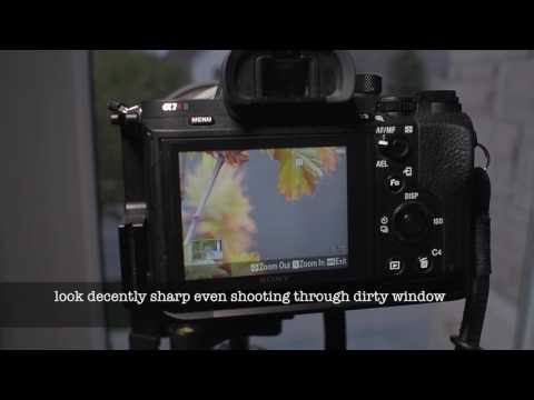 Sony A7R2 Sigma MC-11 Canon 300mm f2.8 IS Mark One