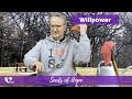 Willpower More Seeds Of Hope Isaiah 50 6 Lent Holyweek