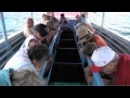 Glass Bottom Boat Bora Bora