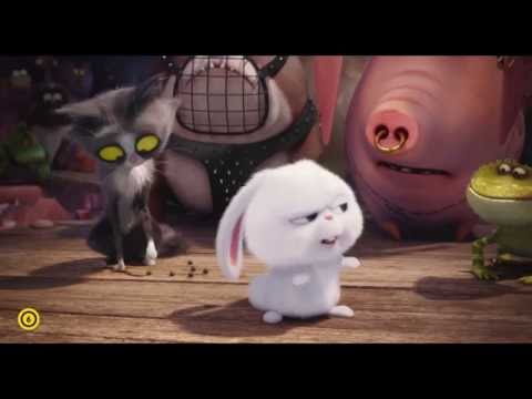 A kis kedvencek titkos élete: Hógolyó kis "balesete"- magyar nyelvű filmklip