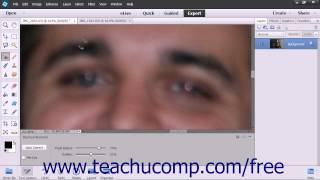Photoshop Elements 13 Tutorial The Red Eye Removal Tool Adobe Training