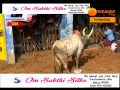 Alanganallur Jallikattu 2017 Sampiranipatti Kovil Maadu