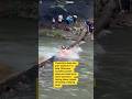 A drowning woman rescued by two heros! 👏 #trending #viralvideo #river #help #latest  #rescue