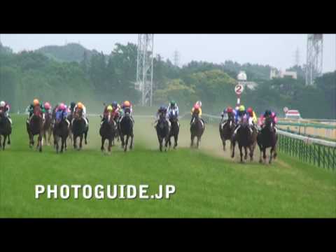 Tokyo Race Course (Epsom Cup) 東京競馬場