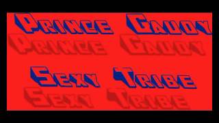 Prince Gaudy - Sexy Tribe - Hypnomix.avi