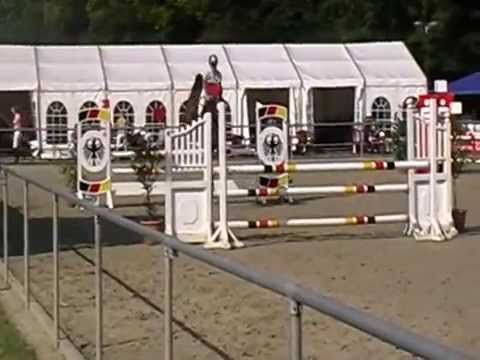 Cassini II 5 jährige Holsteiner Stute Cassada für den großen Springsport