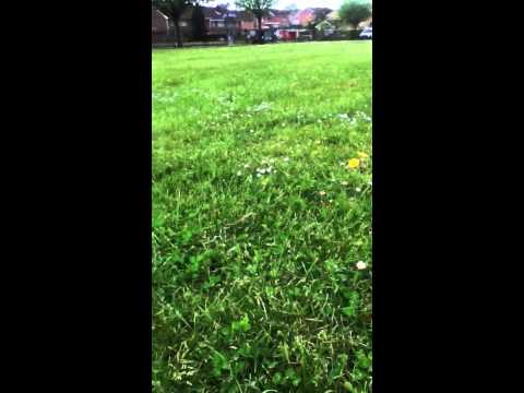 Me and gypsy in the park with keziah xx