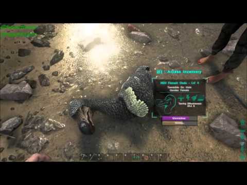 Ark How and Why to Tame a Dodo