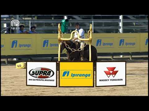 Classificatória Gaúcha - 5º lugar fêmeas - Umauá do Infinito - (Bayard/Sarmento)