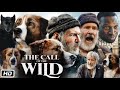The Call Of The Wild Full Movie In Hindi Review And Story Harrison Ford Omar Sy Dan Stevens