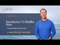 Introduction To Buddha Palm Activate Healing Energy In Your Hands