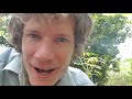 How To Dwarf Trees Without Buying A Dwarf Variety Dwarf Mango Grown From Seed Dwarf Fruit Trees Ya