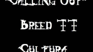"Calling Out" - Breed 77