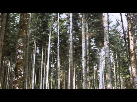 Stabat Mater - Pergolesi - Stabat Mater Dolorosa - Carlos Mena - Maria Espada