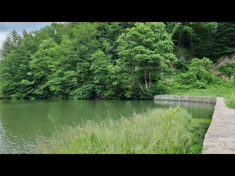 Creatia lui Dumnezeu TAUL FAIERAG