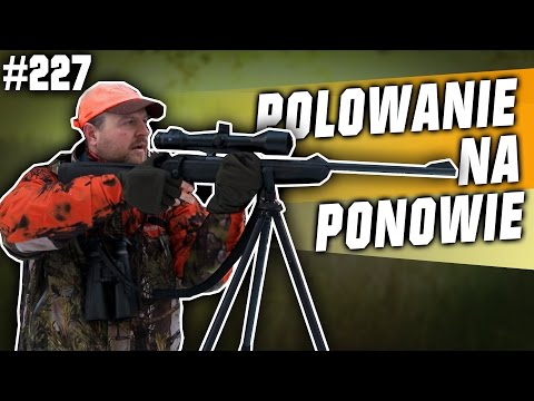 Darz Bór odc 227 - Polowanie na ponowie