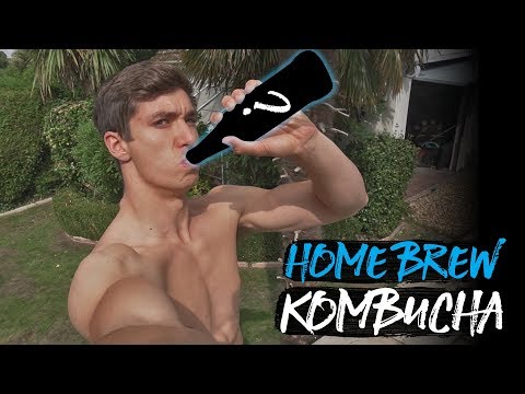 HOMEMADE PROBIOTIC (Kombucha Recipe)