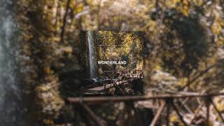 Beau Collins &amp; Osrin - Wonderland (Swirl Remix)