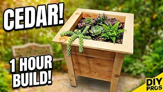 Simple DIY Raised Garden Bed Building for Beginners