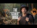 We Had 72 Hours To Find Wild Tigers