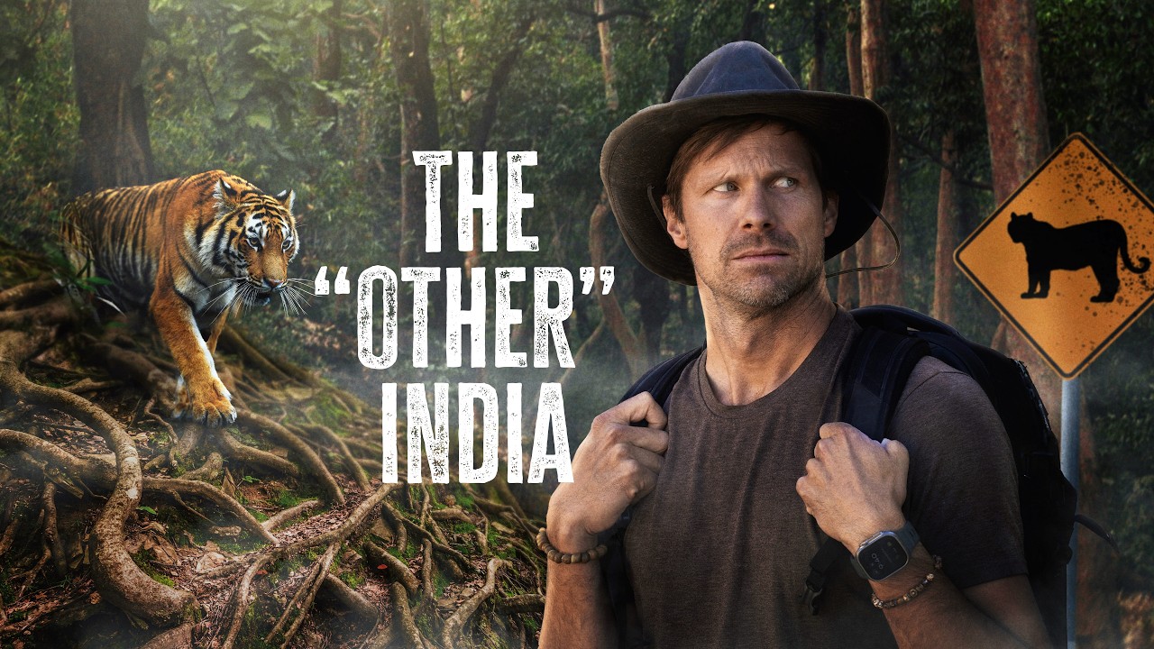 We Had 72 Hours to Find Wild Tigers