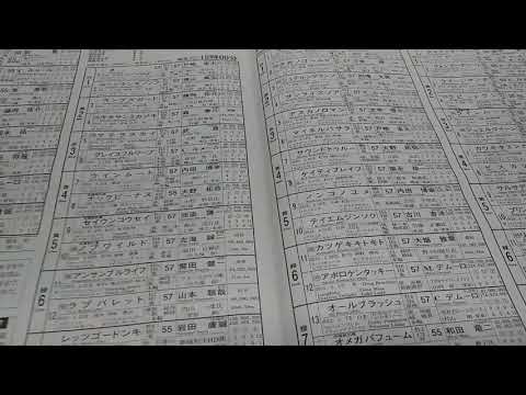 （競馬観戦報告） 京都JBC（交流GⅠ）&東京アルゼンチン共和国杯（GⅡ）