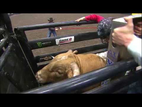 Dakota Buttar vs. VJV Nailed (PBR)