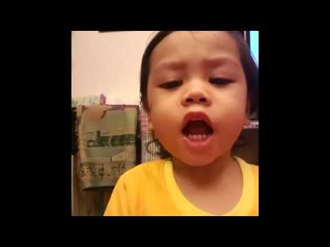 Happy Birthday To You Mizan 2015