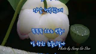 #하진우  ➿  그리워  (가사)