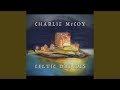 Irish Jig Medley: Kesh Jig / Tripping Up the Stairs / Morrison's Jig