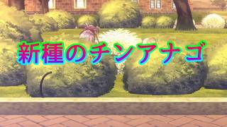 《実況》　ヘブンバーンズレッド　Part40