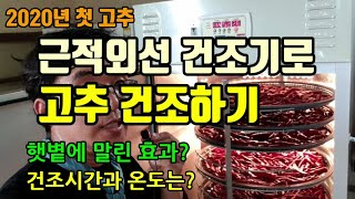 고추농사 고추 세척하고 근적외선 고추건조기 말랭기로 고추건조하기 고추건조방법과 시간, 고추건조온도는?