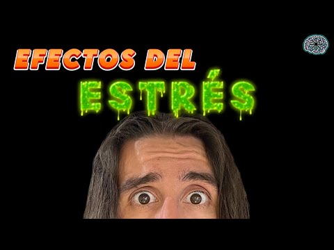 ESTRÉS CRÓNICO? Así afecta A TU CEREBRO