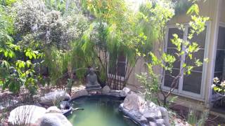 Bamboo as a Feng Shui Symbolof Longevity