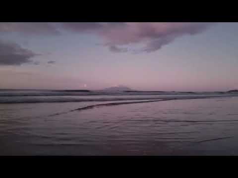 Pakiri Beach #newzealand