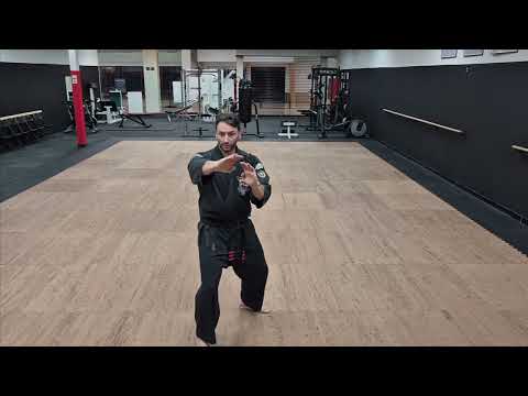 Short Form 2, American Kenpo (Ian Lauer's Kenpo Karate in Zanesville, Ohio.)