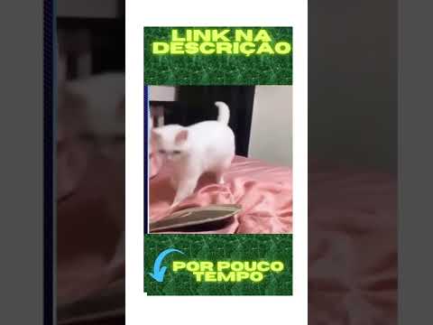 OS PETS MAIS FOFOS E ENGRAÇADOS DO MUNDO #shorts