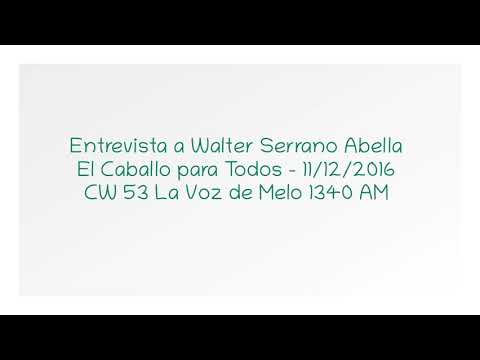 Interview with Walter Serrano Abella (11/12/2016, The Horse for Everyone)