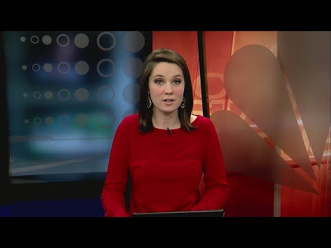 Why is my car sticky? Local garden expert explains cause of 'honeydew'