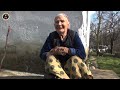 U planinskom selu zivi sama baka Borka ima 82 godine i ne vidi i ne cuje dobro,prica tuznu zivotnu..