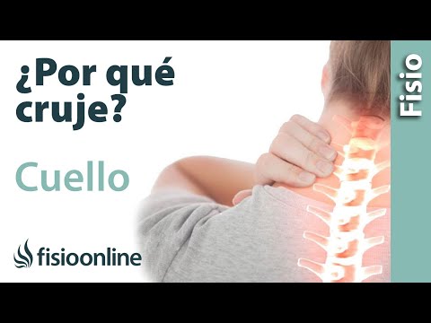 Uzi en ningún núcleo de osificación en articulación de la cadera Causa dolor en las articulaciones