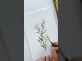 Aster watercolor painting