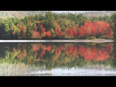 K.S. Project & V. Ray - Looking For Paradise