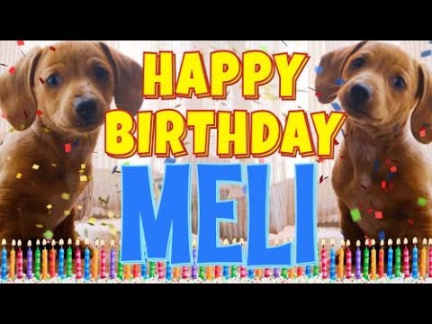 Happy Birthday Meli! ( Funny Talking Dogs ) What Is Free On My Birthday