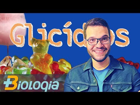Carbohydrates (sugars) - more biology with Roger Maia
