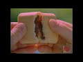 Fig Newtons Television Commercial 1986 OTA