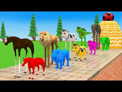 Long Slide Game with Cow Elephant Gorilla Hippopotamus Tiger 3d Animal Game Funny 3d Animals