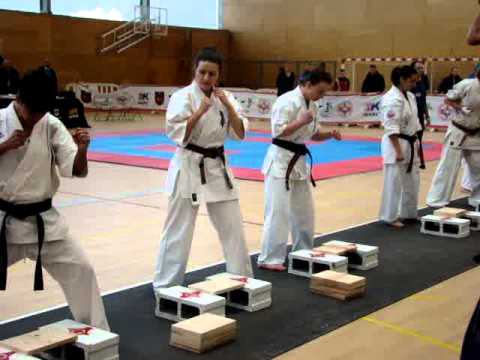 SPANISH OPEN KARATE CHAMPIONSHIPS 2013 - temashiwari 1