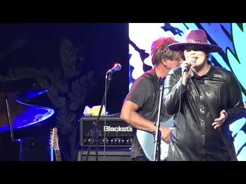 GODZILA BLUZ - ZLATNI DAN - 11.11.2022. - INSTA TV